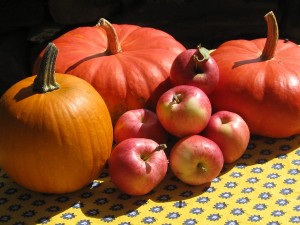 IMG_1274