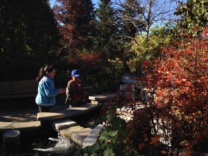IMG_1801